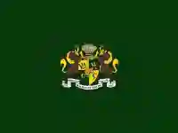 Logo vector resolution example